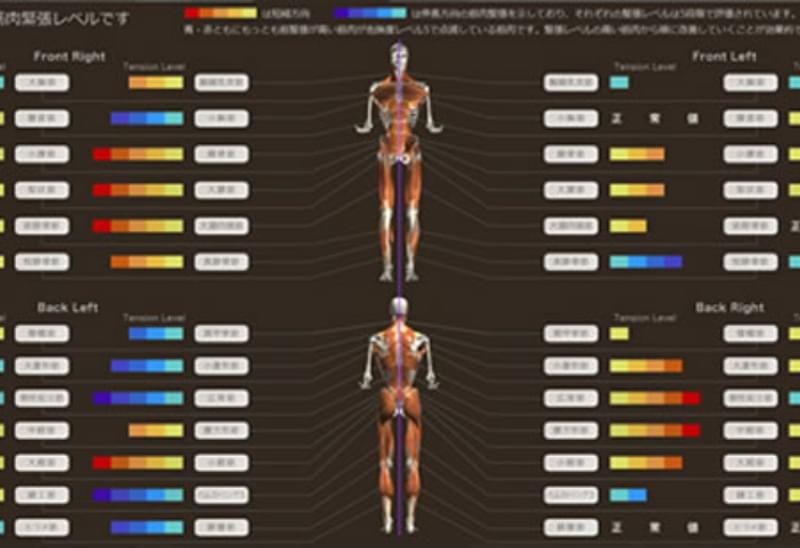 筋肉緊張の分布と改善プログラムを提案するコンテンツ